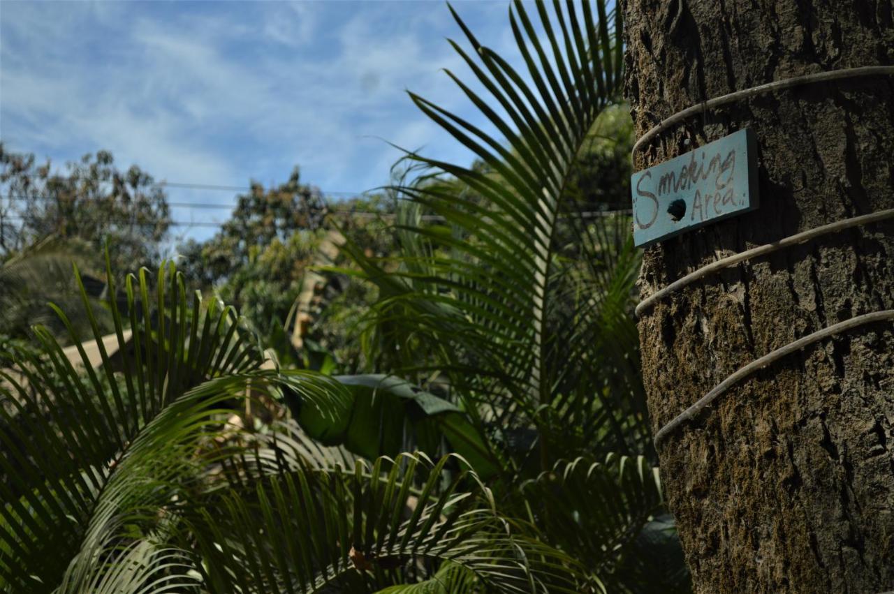 Brunela Soldiers Hostel Playa Santa Teresa  Exterior foto